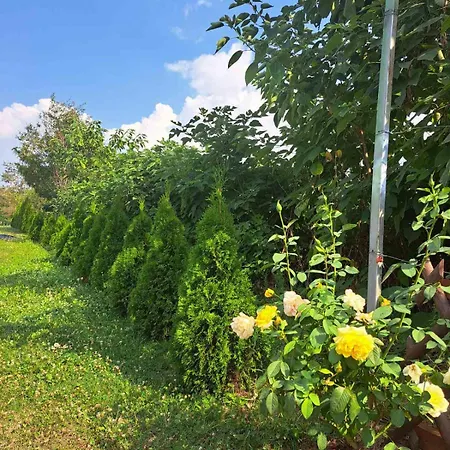 Tiva Kucazaodmor-fruska Gora * Suljam