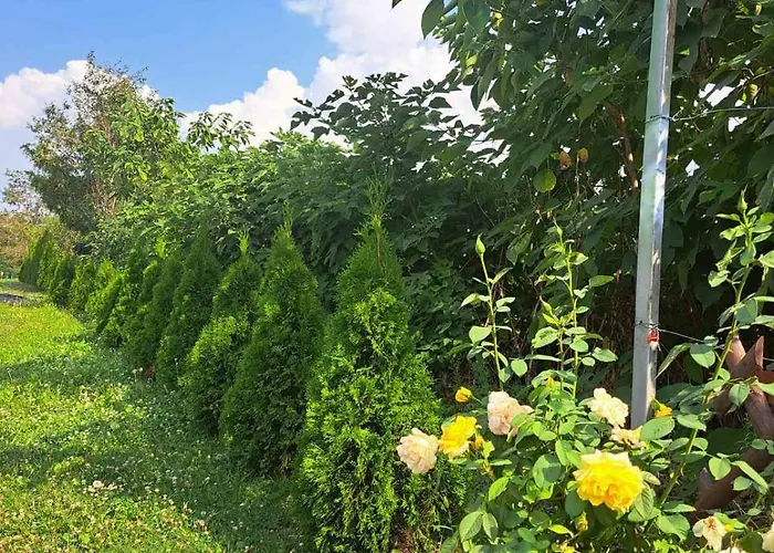 Tiva Kucazaodmor-fruska Gora * Suljam