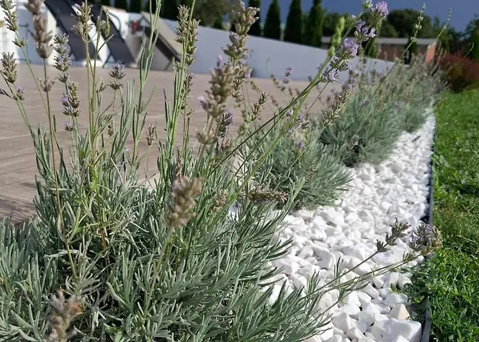 Tiva Kucazaodmor-fruska Gora Suljam